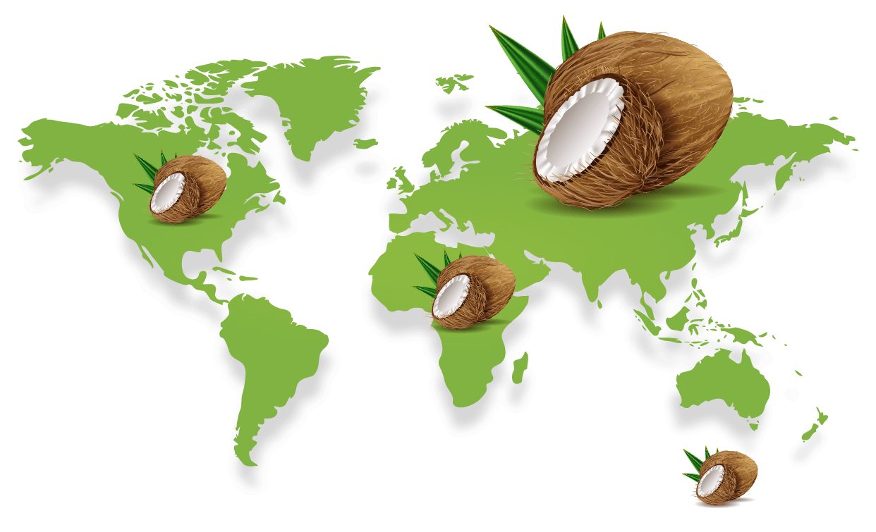 30092020-25-Thai-coconut-Home-32.png